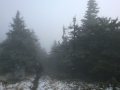 WP_20141025_012.jpg
