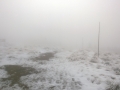 WP_20141025_021.jpg