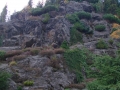 DSC01448