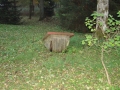 DSC01460