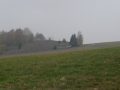 DSC01463