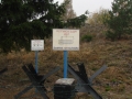 DSC01467
