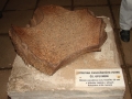 DSC01506