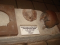 DSC01507