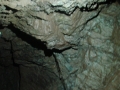 DSC01520