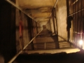 DSC01522