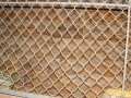 DSC01527