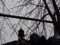 DSC01631