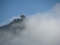 IMG_8868