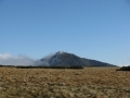IMG_8880