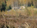IMG_1824