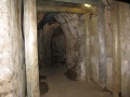 IMG_1925