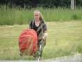 IMG_1525