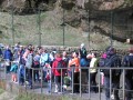IMG_3277