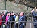 IMG_3278