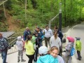 IMG_3309
