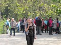 IMG_3331